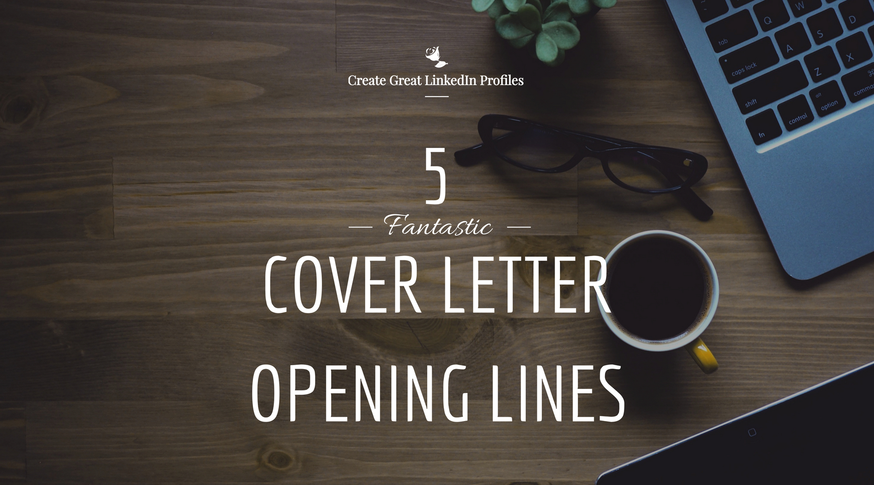 Cover Letter Opening 5 Fantastic Cover Letter Opening Lines letterly.info