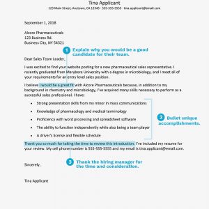 27+ Example Of Cover Letter For Job - letterly.info