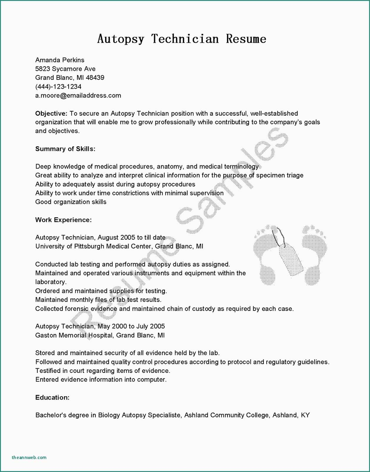 Google Cover Letter Cover Letter Template Google Docs Cover Letter Google Cover Letter Cover Letter Template Google Docs Cover Letter