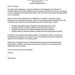 Sales Cover Letter Examples Best Salesperson Cover Letter Examples Livecareer